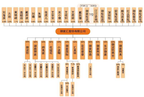 御家匯IPO周三上會(huì) 年入11億背后，面膜業(yè)務(wù)與軟件及輔助設(shè)備批發(fā)的商業(yè)邏輯